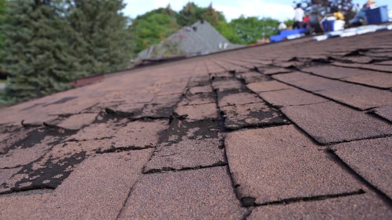 Best Cold Roofs  in Blanding, UT